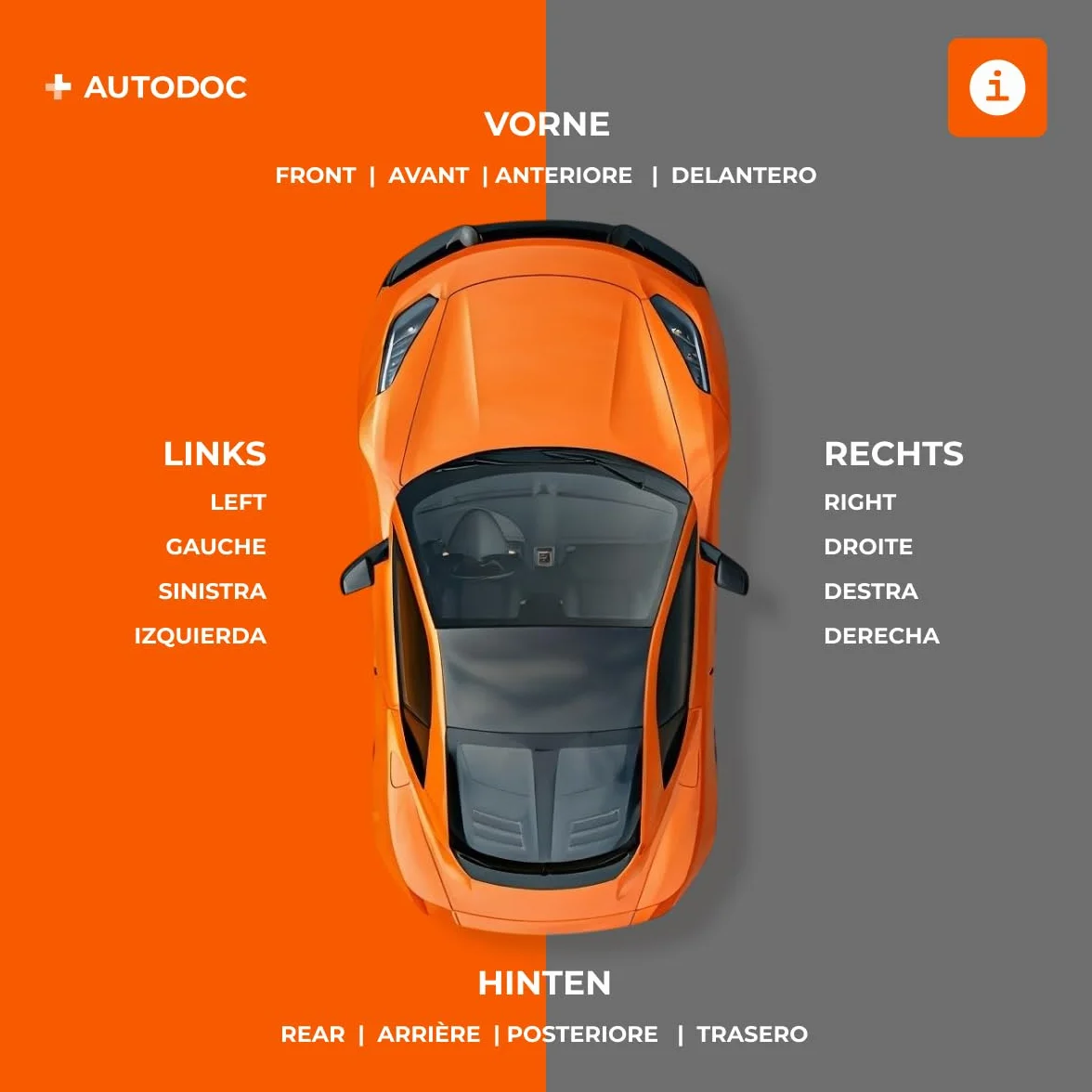 RIDEX 4119A0018 Molla pneumatica Posteriore Compatibilità con BMW 5 Touring F11