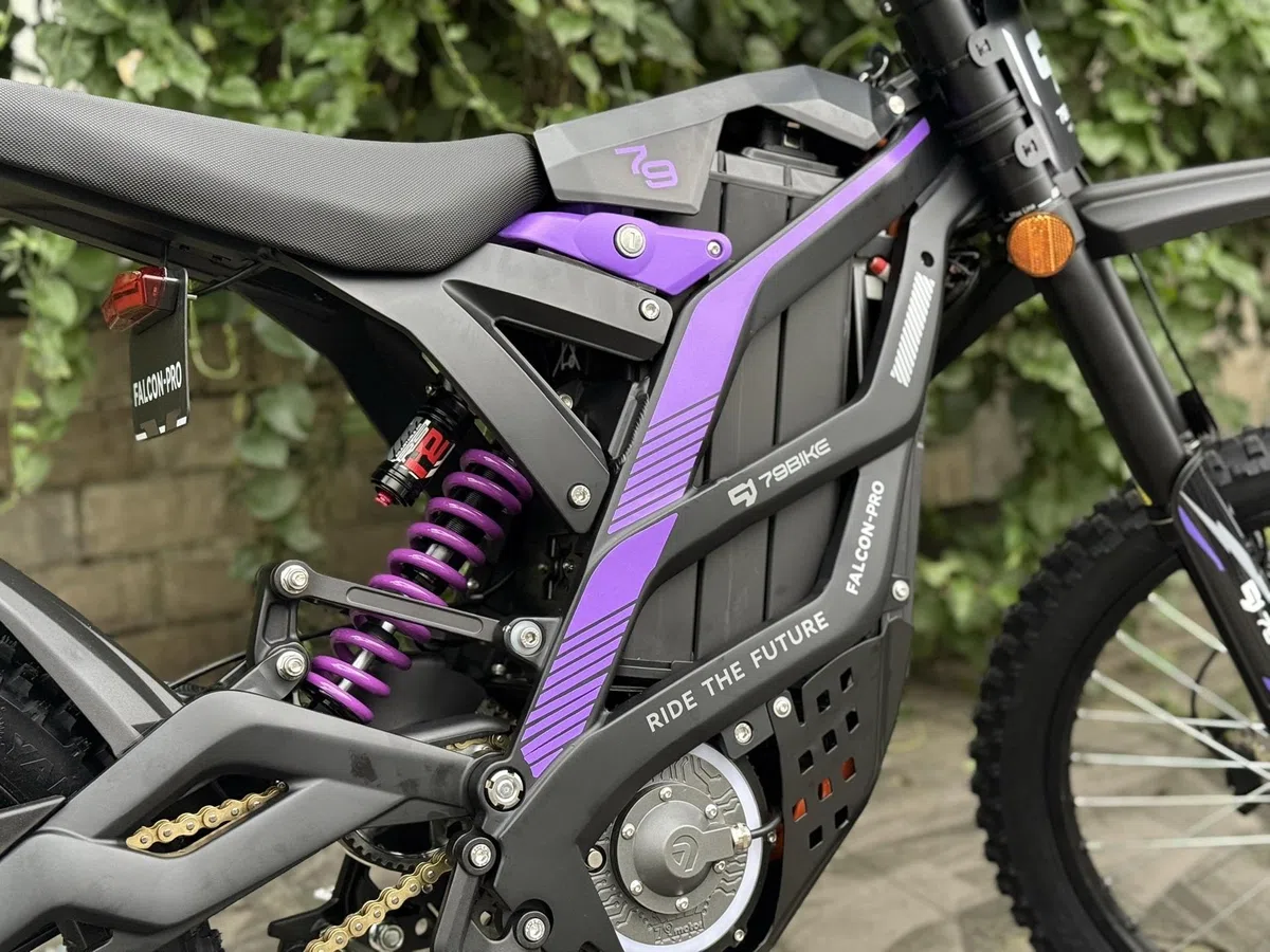 79Bike Falcon Pro Dirt Bike elettrica per adulti, motocicletta elettrica da 19 pollici con batteria al litio da 72 V 35 Ah, autonomia di 125 km, motore 10 kW, bici elettrica da 410 Nm (nero viola)