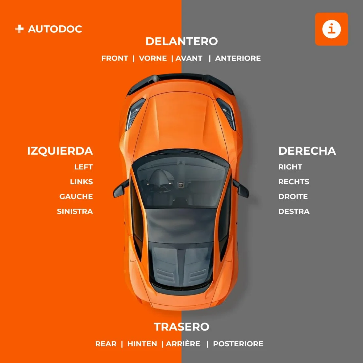 RIDEX 123B0017 2x Tamburo freno Posteriore senza cuscinetto ruota senza anello sensore ABS Compatibilità con FIAT Ducato Van 250, 290