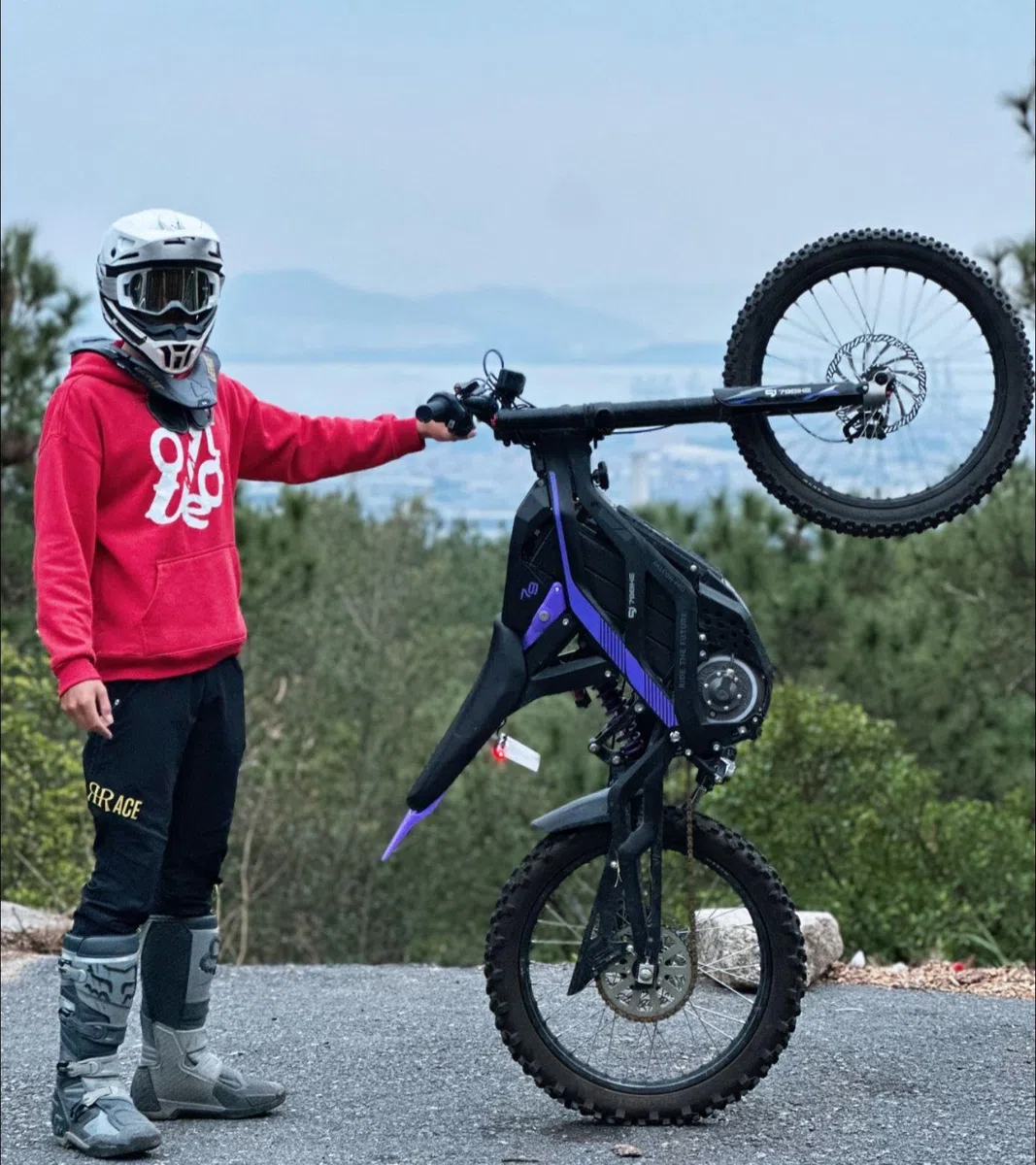79Bike Falcon Pro Dirt Bike elettrica per adulti, motocicletta elettrica da 19 pollici con batteria al litio da 72 V 35 Ah, autonomia di 125 km, motore 10 kW, bici elettrica da 410 Nm (nero viola)