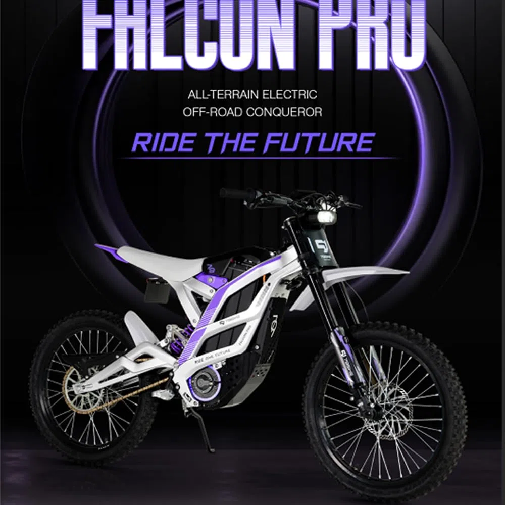 79Bike Falcon Pro Dirt Bike elettrica per adulti, motocicletta elettrica da 19 pollici con batteria al litio da 72 V 35 Ah, autonomia di 125 km, motore 10 kW, bici elettrica da 410 Nm (argento viola)